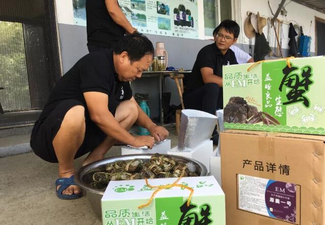 EM微生物研發公司介紹螃蟹對人體有什么作用